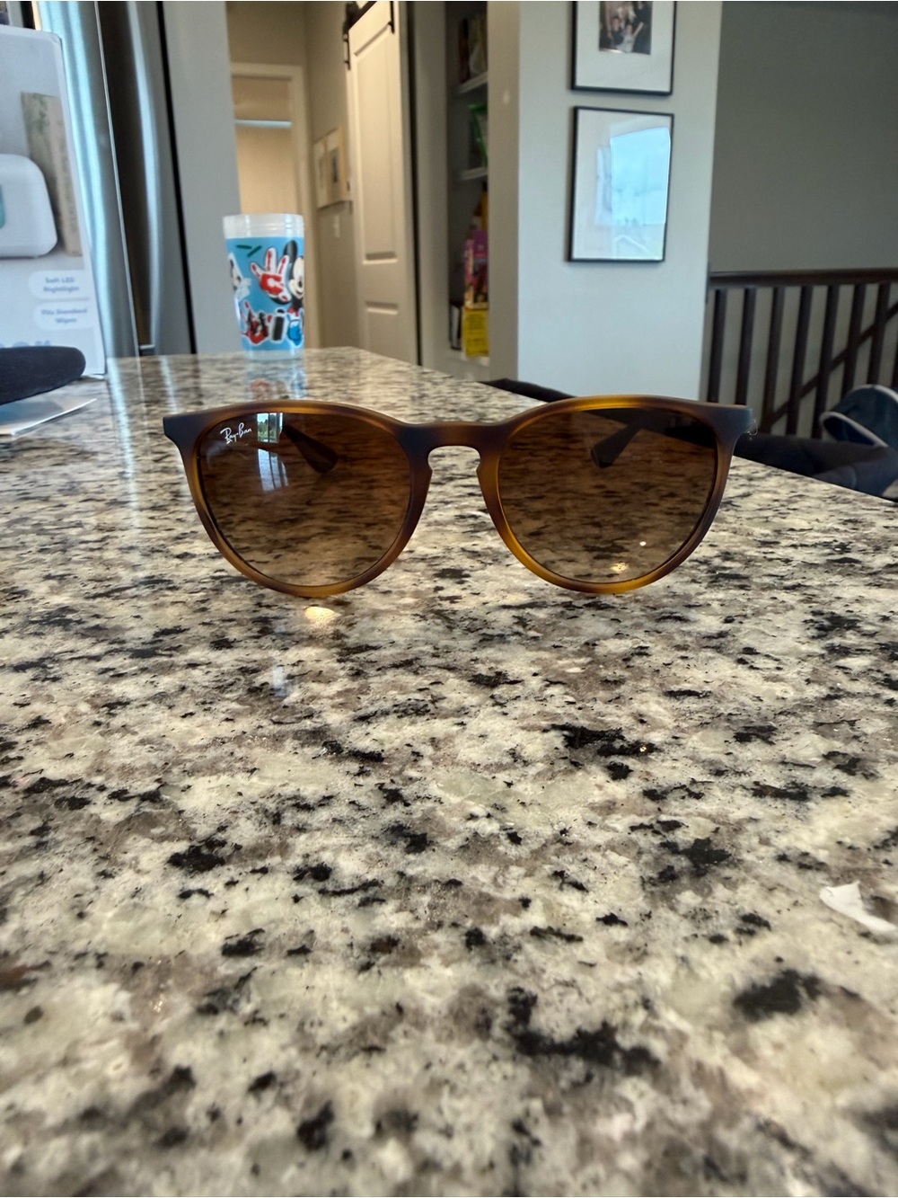 Ray-Ban Erika Brown Tortoise Gradient Round Sunglasses